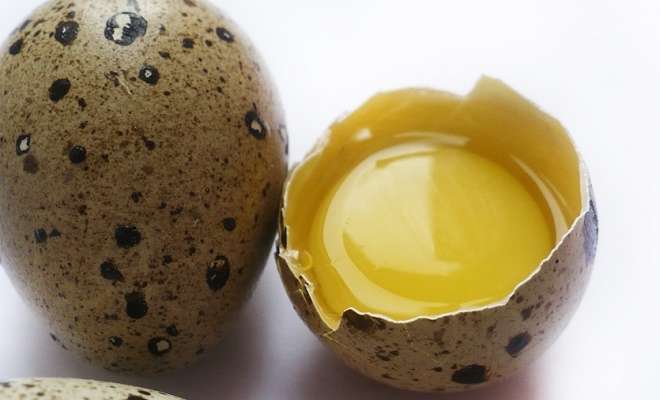 желток перепелиного яйца